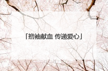 撸袖献血 传递爱心