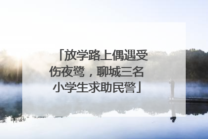 放学路上偶遇受伤夜鹭，聊城三名小学生求助民警