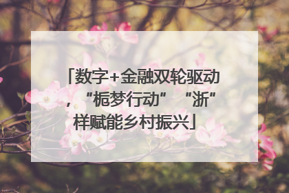 数字+金融双轮驱动，“栀梦行动”“浙”样赋能乡村振兴