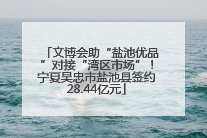 文博会助“盐池优品”对接“湾区市场”！宁夏吴忠市盐池县签约28.44亿元