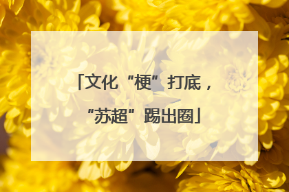 文化“梗”打底，“苏超”踢出圈