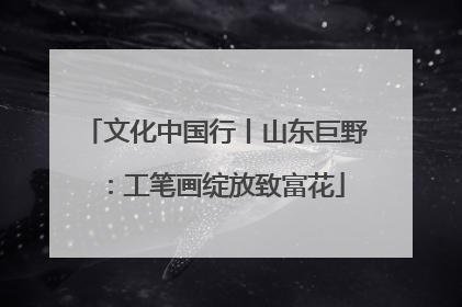 文化中国行丨山东巨野：工笔画绽放致富花