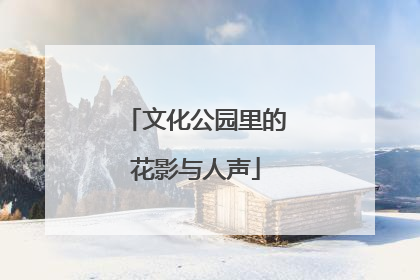 文化公园里的花影与人声