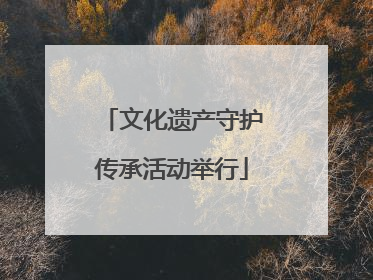 文化遗产守护传承活动举行