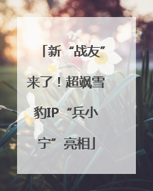 新“战友”来了！超飒雪豹IP“兵小宁”亮相