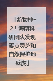 新物种+2！海南科研团队发现素贞灵芝和自然保护地壁虎
