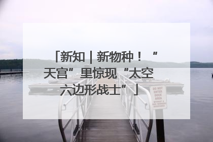 新知｜新物种！“天宫”里惊现“太空六边形战士”