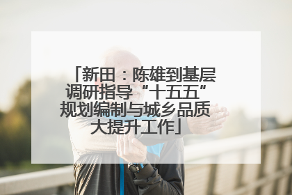 新田：陈雄到基层调研指导“十五五”规划编制与城乡品质大提升工作