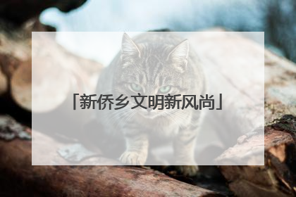 新侨乡文明新风尚