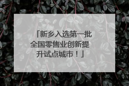 新乡入选第一批全国零售业创新提升试点城市！