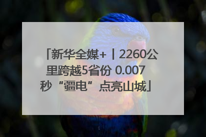 新华全媒+丨2260公里跨越5省份 0.007秒“疆电”点亮山城