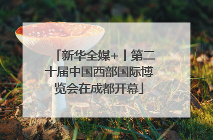 新华全媒+丨第二十届中国西部国际博览会在成都开幕
