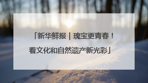 新华鲜报｜瑰宝更青春！看文化和自然遗产新光彩