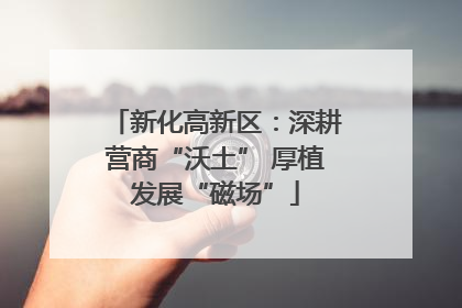 新化高新区：深耕营商“沃土” 厚植发展“磁场”