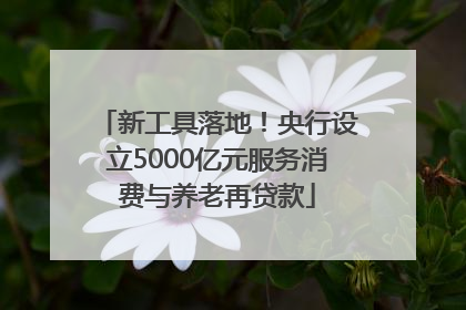 新工具落地！央行设立5000亿元服务消费与养老再贷款
