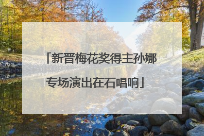 新晋梅花奖得主孙娜专场演出在石唱响