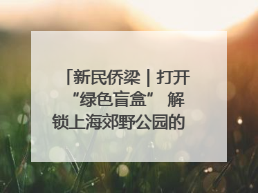 新民侨梁｜打开“绿色盲盒” 解锁上海郊野公园的N种玩法