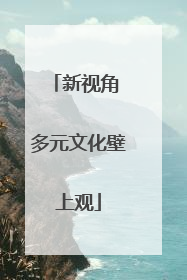 新视角 多元文化壁上观