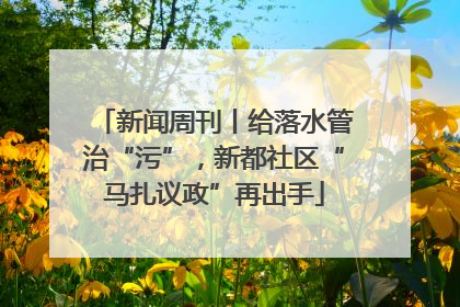 新闻周刊丨给落水管治“污”，新都社区“马扎议政”再出手