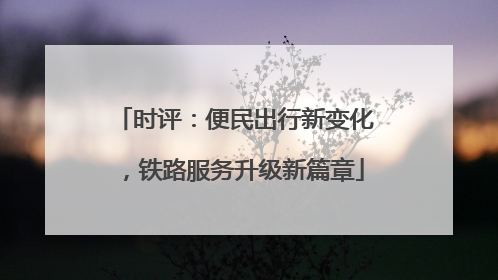 时评：便民出行新变化，铁路服务升级新篇章