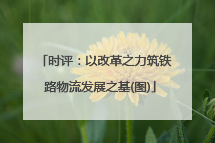 时评：以改革之力筑铁路物流发展之基(图)