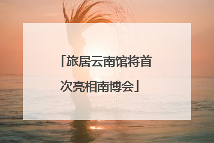 旅居云南馆将首次亮相南博会