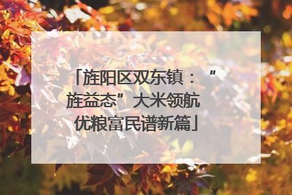 旌阳区双东镇：“旌益态”大米领航 优粮富民谱新篇