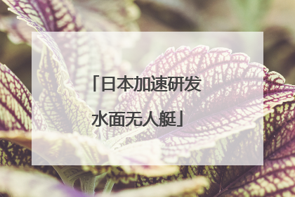 日本加速研发水面无人艇