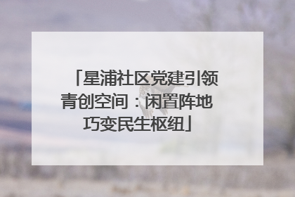 星浦社区党建引领青创空间：闲置阵地巧变民生枢纽