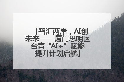 智汇两岸，AI创未来——厦门思明区台青“AI+”赋能提升计划启航