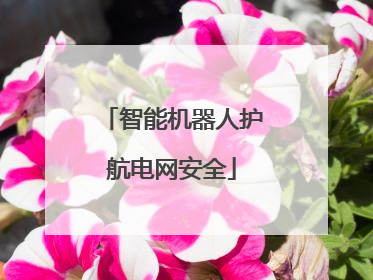 智能机器人护航电网安全