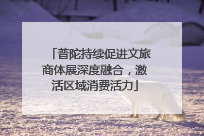 普陀持续促进文旅商体展深度融合，激活区域消费活力