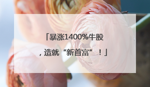 暴涨1400%牛股，造就“新首富”！