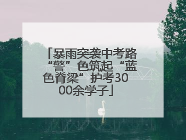 暴雨突袭中考路“警”色筑起“蓝色脊梁”护考3000余学子