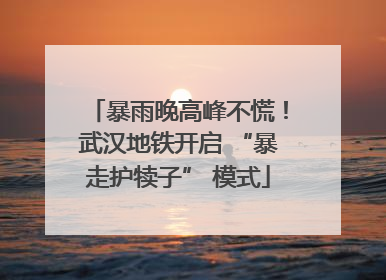 暴雨晚高峰不慌！武汉地铁开启 “暴走护犊子” 模式