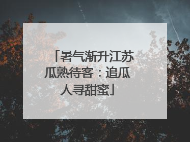 暑气渐升江苏瓜熟待客:追瓜人寻甜蜜