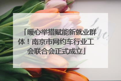 暖心举措赋能新就业群体！南京市网约车行业工会联合会正式成立