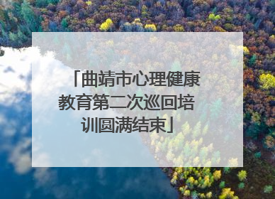 曲靖市心理健康教育第二次巡回培训圆满结束