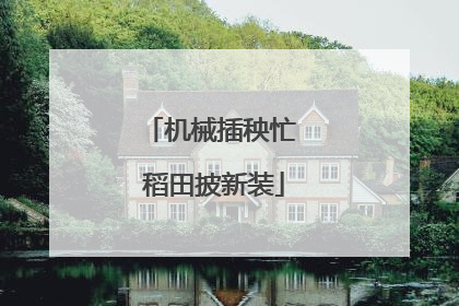 机械插秧忙 稻田披新装