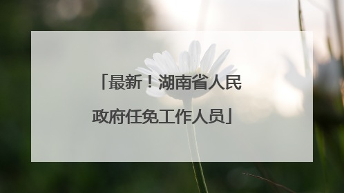 最新！湖南省人民政府任免工作人员