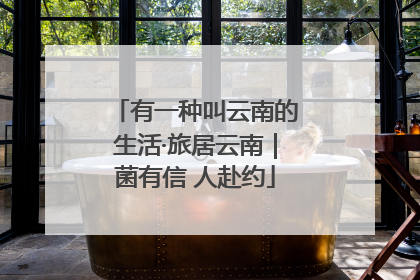 有一种叫云南的生活·旅居云南｜菌有信 人赴约