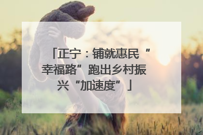 正宁：铺就惠民“幸福路”跑出乡村振兴“加速度”