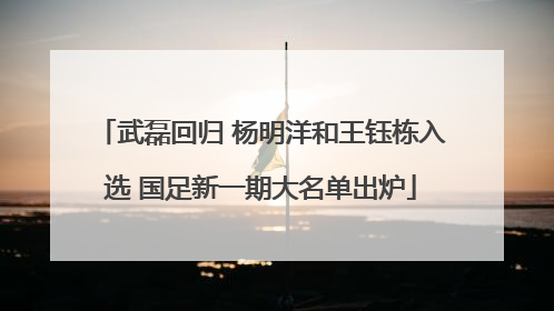 武磊回归 杨明洋和王钰栋入选 国足新一期大名单出炉