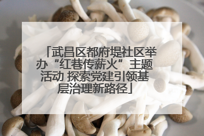 武昌区都府堤社区举办“红巷传薪火”主题活动 探索党建引领基层治理新路径