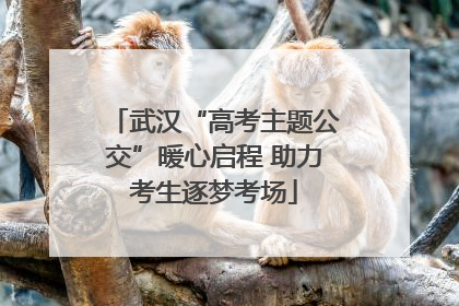 武汉“高考主题公交”暖心启程 助力考生逐梦考场