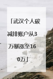 武汉个人碳减排账户从3万暴涨至160万