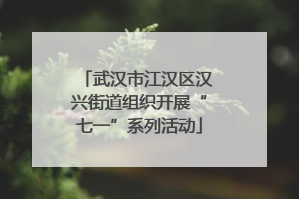 武汉市江汉区汉兴街道组织开展“七一”系列活动