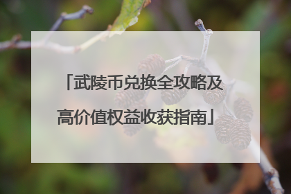 武陵币兑换全攻略及高价值权益收获指南