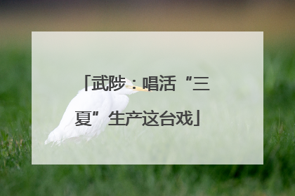 武陟：唱活“三夏”生产这台戏
