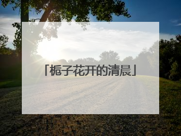 栀子花开的清晨